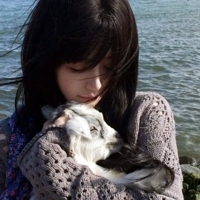 囧贼